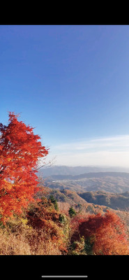 ギャラリー｜関西の初心者コースで皆で山登りしよう！