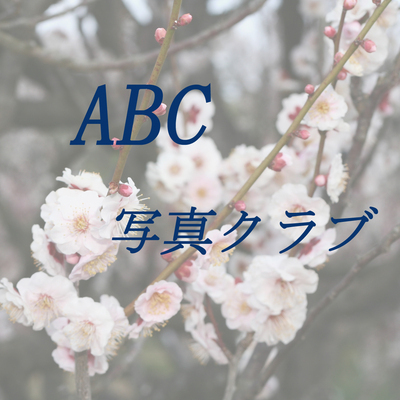 ギャラリー｜ABC写真クラブ