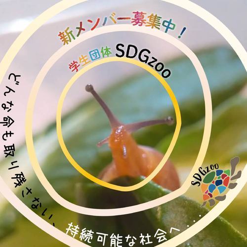 ギャラリー｜学生団体SDGzoo