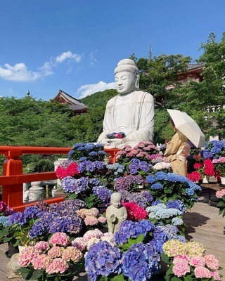 ギャラリー｜わくわく写真クラブ
