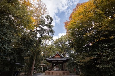 ギャラリー｜京都photo散歩