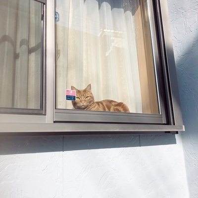 ギャラリー｜さいたま写真部