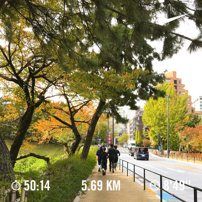 ギャラリー｜🏃‍♀️皇居ランニング 🏃‍♀️