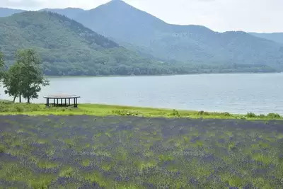 ギャラリー｜やまあるき山形