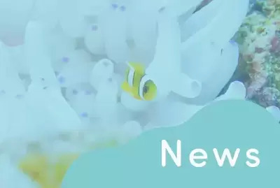 ギャラリー｜Nature＋