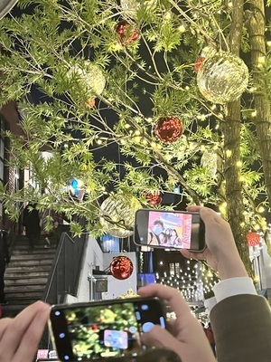 ギャラリー｜SMARTCAMERA 写真サークル　サクかめ