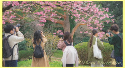 ギャラリー｜Photo Circle Lien