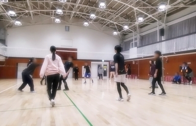 ギャラリー｜港区中心社会人男女混合バレーボールサークル
