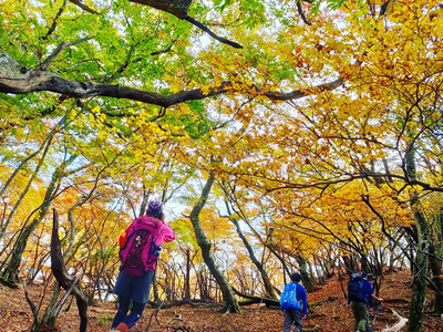 ギャラリー｜⛰平日　Outdoors club A＆K2⛺️