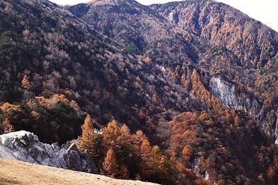 ギャラリー｜Luomu