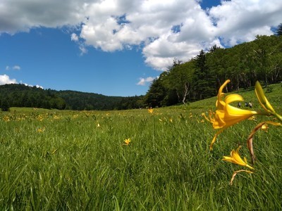 ギャラリー｜【募集一旦停止】ゆっくり山を楽しむ　穏やかな雰囲気の少人数サークル【首都圏発・20-30代】