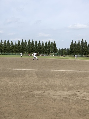 ギャラリー｜シャムス