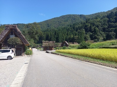 ギャラリー｜自転車で走る部