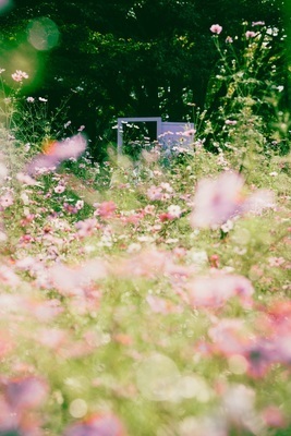 ギャラリー｜findStagram