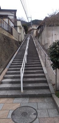 ギャラリー｜ゆる散歩🚶
