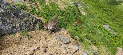 ギャラリー｜九州山歩き仲間⛰️