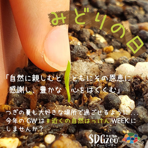 ギャラリー｜学生団体SDGzoo