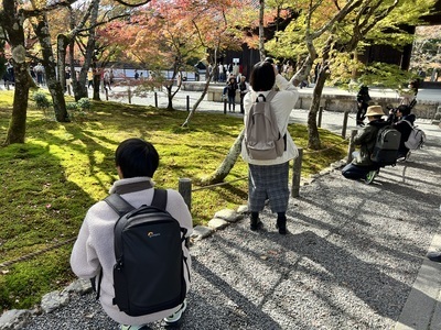 ギャラリー｜KYOTO iMAGING TEAM 【京都写真サークル】