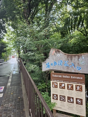 ギャラリー｜街さんぽ＆カメラ