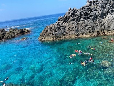 ギャラリー｜料理・農業・旅行 サークル ActiveGreenCompany
