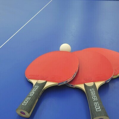 ギャラリー｜写カフェ_sports🎾