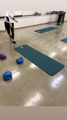 ギャラリー｜昭和ヨガ🧘‍♀️とピラティス♪