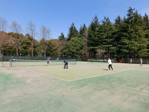 ギャラリー｜４０代後半～５０代★同世代でまったりゆる～く活動★テニス仲間募集