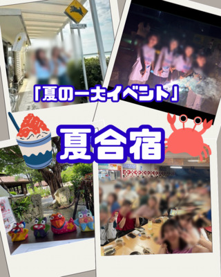 ギャラリー｜早慶東一工　インカレ旅行サークル　Prestige