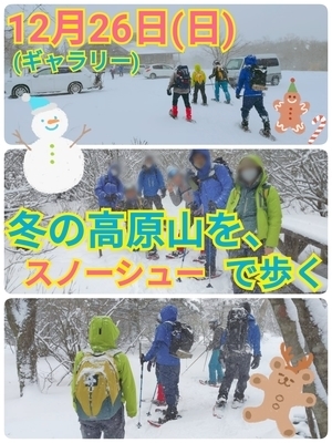 ギャラリー｜東京登山Campサークル