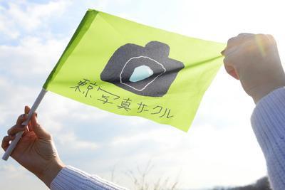 ギャラリー｜東京写真サークル📸