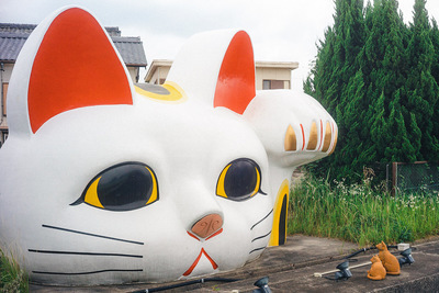 ギャラリー｜ゆるふぉと📸