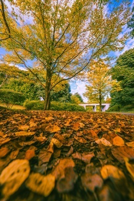 ギャラリー｜findStagram