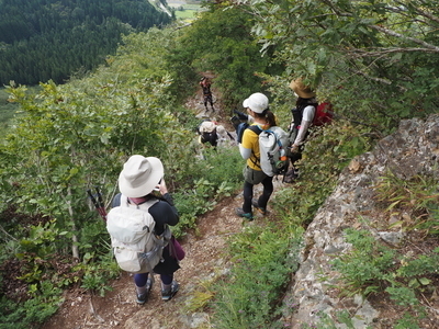 ギャラリー｜平日登山部！