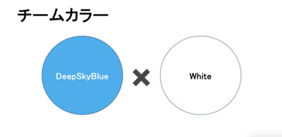 ギャラリー｜バレーボールチーム設立準備室