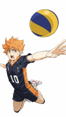 プロフィール｜OIDEYASU plus🏐バレーボールサークル