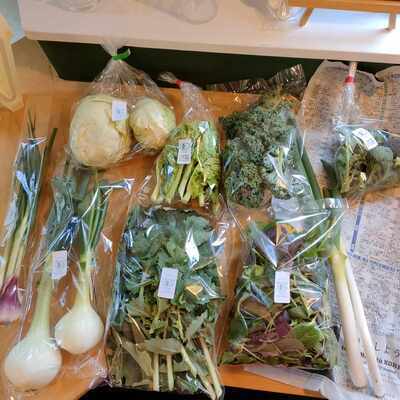 プロフィール｜【料理サークル　じじじ会】（地元野菜で作る　自炊の時間）