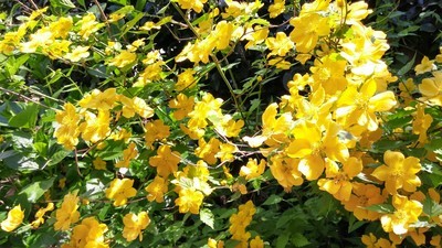 プロフィール｜予備試験オンライン勉強会