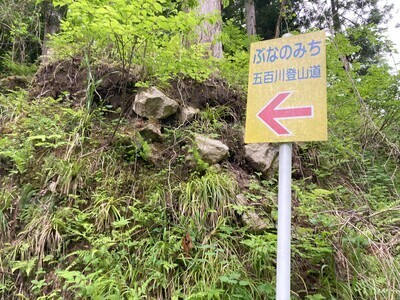 プロフィール｜三条初心者アウトドア