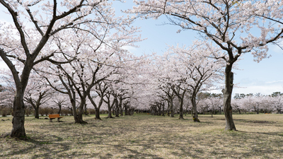 プロフィール｜Photo Circle ef