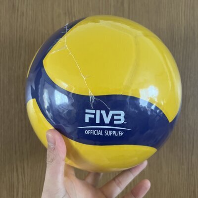 プロフィール｜東村山バレーボール会