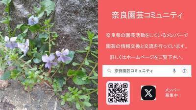 プロフィール｜奈良園芸コミュニティ