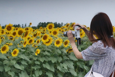 プロフィール｜東海ソラタビ写真部