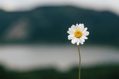 プロフィール｜一日一個　人の役に立つ