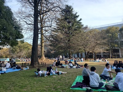 プロフィール｜代々木公園ドッグラン / 🐶🐾わんオクロック
