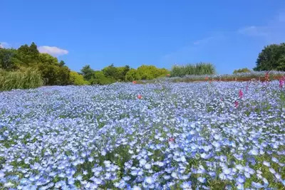 プロフィール｜💐ミセス会💐