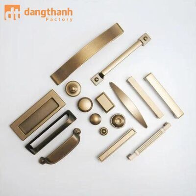 プロフィール｜NGŨ KIM ĐĂNG THÀNH