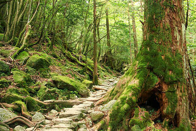 プロフィール｜宮城仙台登山