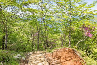 プロフィール｜群馬登山チーム