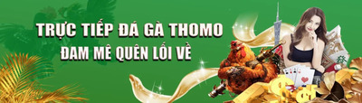 プロフィール｜Đá gà trực tiếp thomo