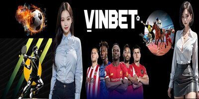 プロフィール｜vinbetmobi